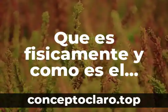 Que es fisicamente y como es el papel probabilistico