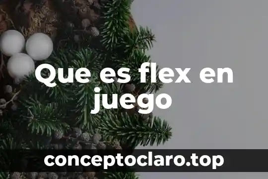 Que es el juego del tochito bandera 7 Que es flex en juego