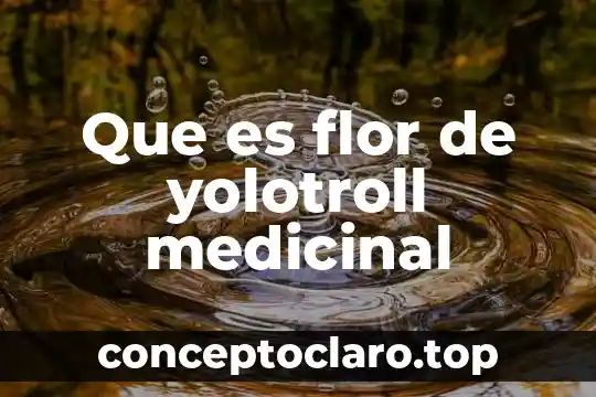 Que es petalos parte de la flor 3 Que es flor de yolotroll medicinal