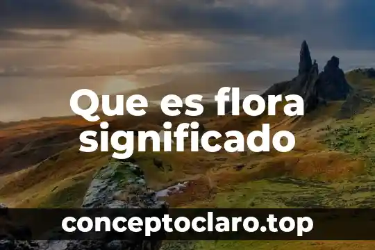 Que es un juego de palabras significado 6 Que es flora significado