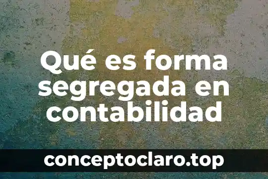 Que es una devolucion en términos contabilidad 4 Qué es forma segregada en contabilidad