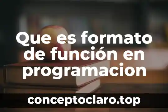 Que es formato de función en programacion