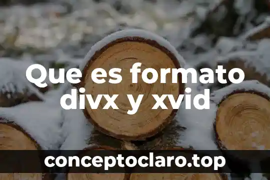 Que es formato divx y xvid