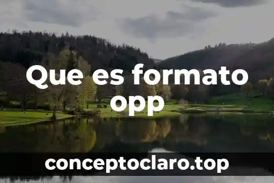 Que es formato opp