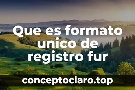 Que es formato unico de registro fur