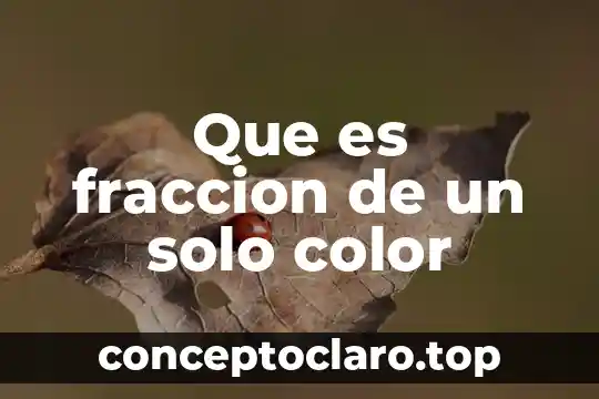 Que es fraccion de un solo color