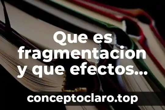 Que es fragmentacion y que efectos genera en la audiencia