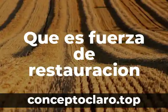 Que es fuerza de restauracion