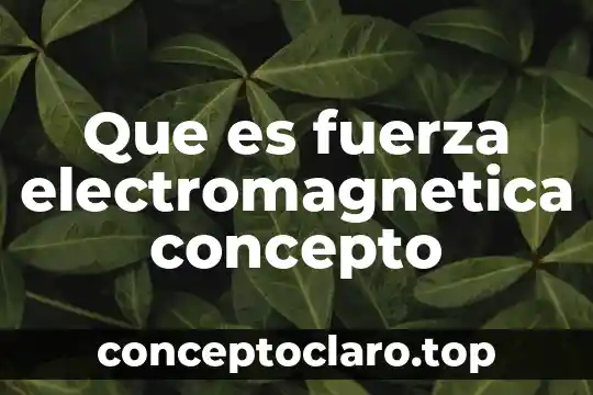 Que es fuerza electromagnetica concepto
