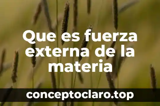 Que es fuerza externa de la materia