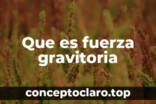 Que es fuerza gravitoria
