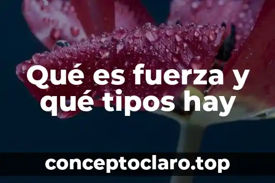 Que es lo que hay dentro del sol 5 Qué es fuerza y qué tipos hay