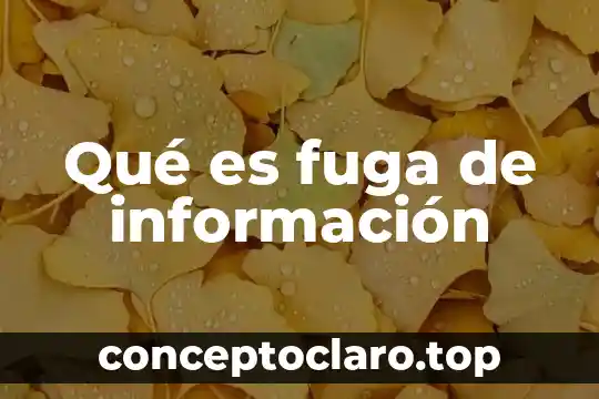 Qué es fuga de información