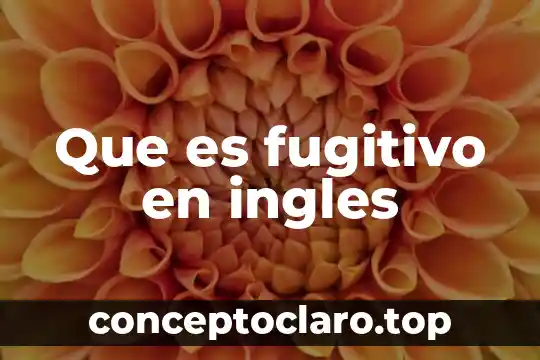 Qué es auxiliar did en inglés y español 6 Que es fugitivo en ingles
