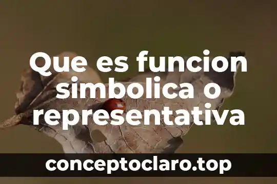 Que es funcion simbolica o representativa