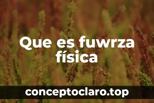 Que es fuwrza física
