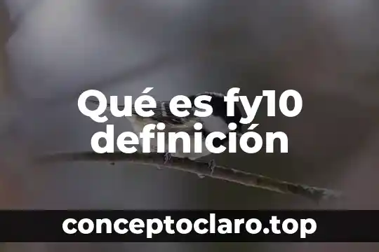 Qué es fy10 definición