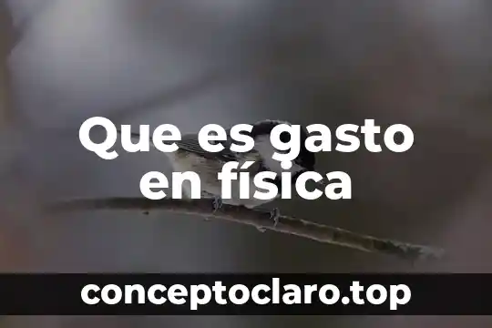 Que es trabajo colectivo en educacion fisica 4 Que es gasto en física