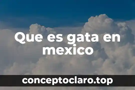 Que es gata en mexico