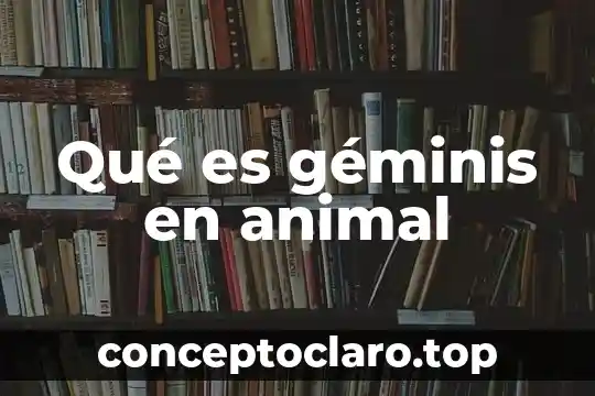 Qué es géminis en animal
