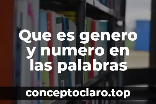 Que es genero y numero en las palabras