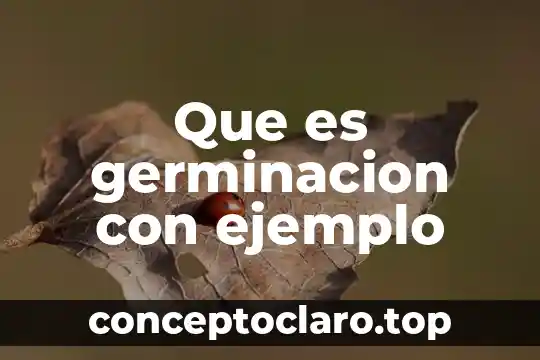 Que es germinacion con ejemplo