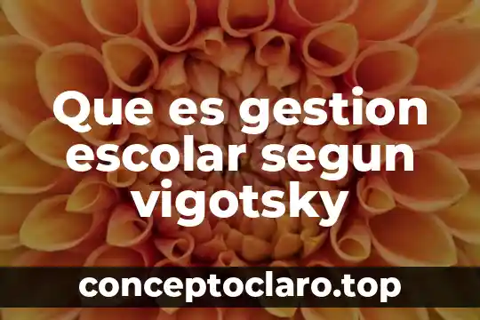 Que es gestion escolar segun vigotsky