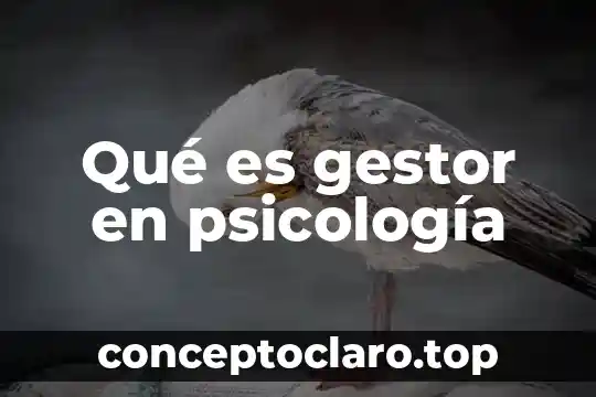 Qué es gestor en psicología