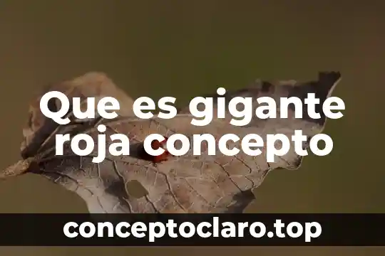 Que es gigante roja concepto