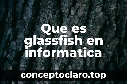 Que es ftp informatica 5 Que es glassfish en informatica