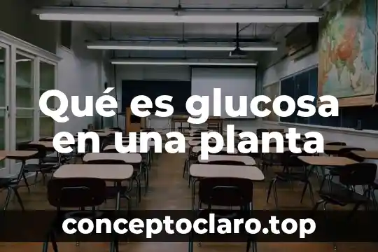 Qué es glucosa en una planta
