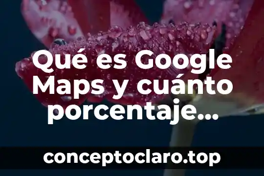 Que es el movimiento de precesion y cuanto dura 5 Qué es Google Maps y cuánto porcentaje tiene