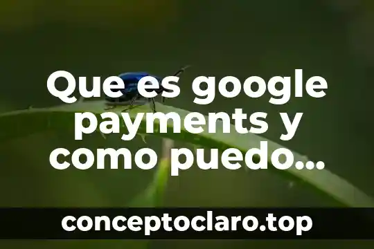 Que es google payments y como puedo pagarlo