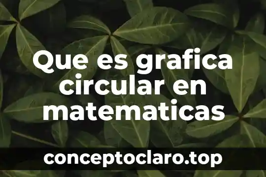 Que es grafica circular en matematicas