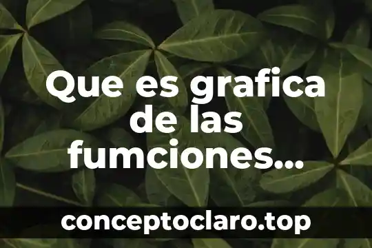 Que es grafica de las fumciones tipos
