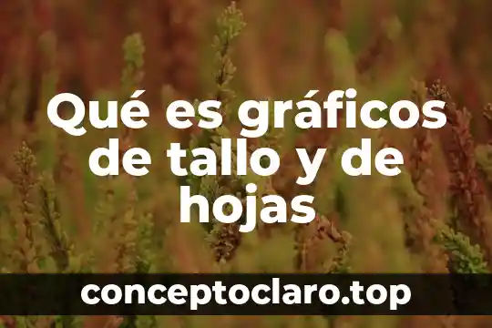 Qué es gráficos de tallo y de hojas