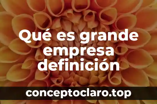 Qué es grande empresa definición