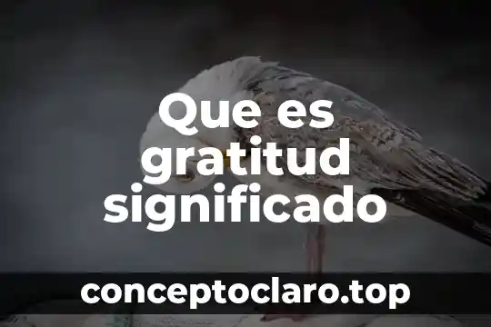 Significado que es leer para mi 6 Que es gratitud significado