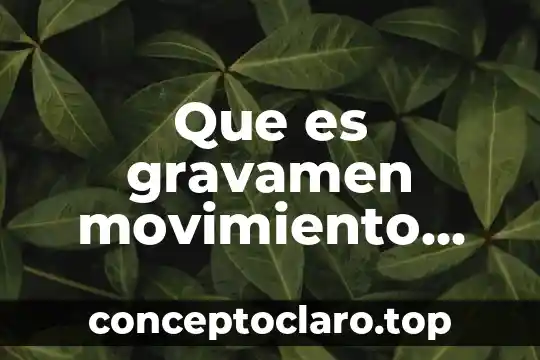 Que es libertad de gravamen fiscal 5 Que es gravamen movimiento financiero
