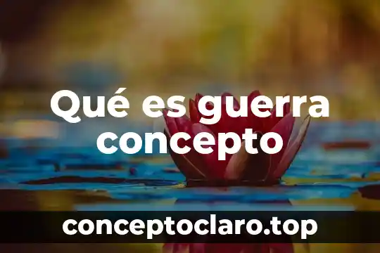 Qué es guerra concepto