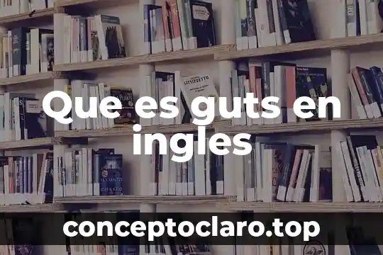 Que es gameplay en ingles 3 Que es guts en ingles