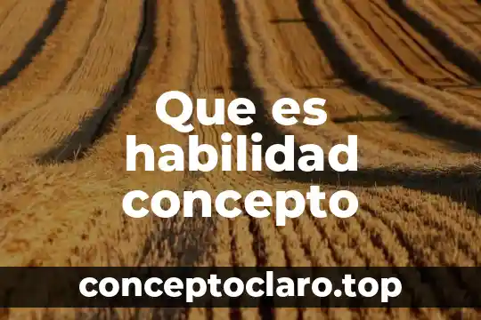 Que es habilidad concepto