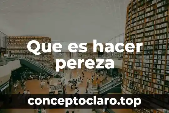 Que es hacer pereza