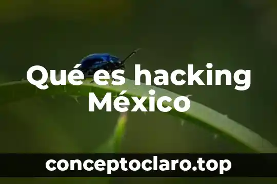 Qué es hacking México