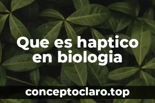Que es haptico en biologia