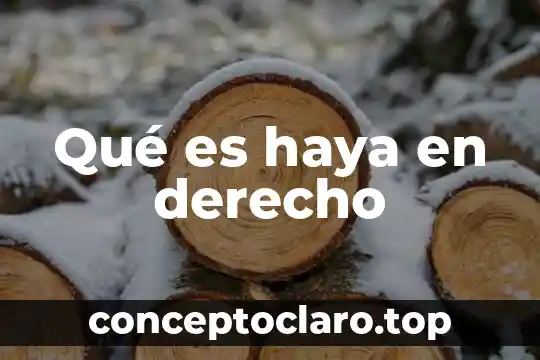 Qué es haya en derecho