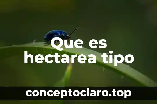 Que es hectarea tipo