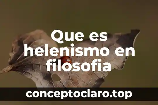 Metodologia filosofia que es 7 Que es helenismo en filosofia