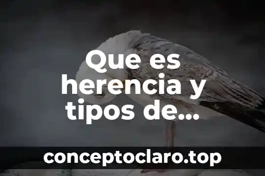 Que es herencia y tipos de herencia