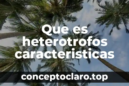 Que es la cosmologia caracteristicas 4 Que es heterotrofos caracteristicas